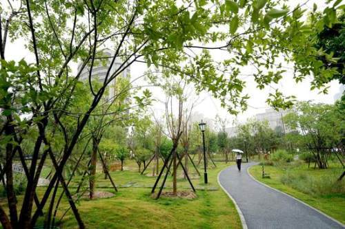 鄭州 雨中游 雨園 圖