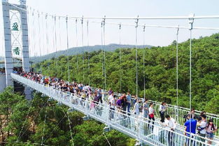 盈香生態園瀨粉節開幕 5d特效玻璃橋同步開放