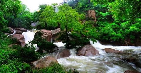 青島人,首批 青島森林氧吧 名單新鮮出爐,快去這些地方吸氧吧