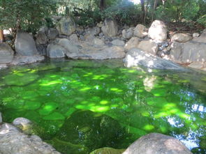 你又美了許多 彌勒