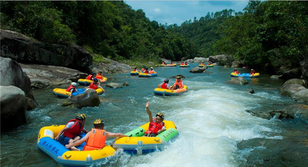 防城區(qū)那良鎮(zhèn)積極探索產(chǎn)業(yè)扶貧新模式