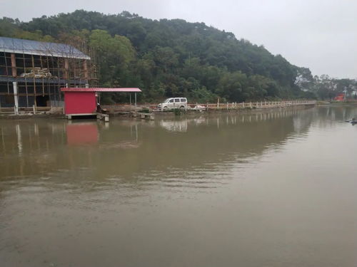 走進央視拍攝全州十大碗之 龍水禾花魚 的聚龍生態(tài)園,感覺挺好