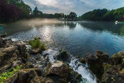南京市野生動物生態(tài)園與九龍?zhí)渡鷳B(tài)園 親子旅游首選景點(diǎn)