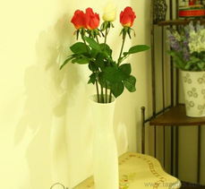 簡(jiǎn)單優(yōu)雅·藝界之選 義烏歐式簡(jiǎn)約陶瓷花瓶大批發(fā)，限時(shí)特價(jià)刷新你的整體家居空間
